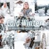 COLD WINTER Lightroom Presets