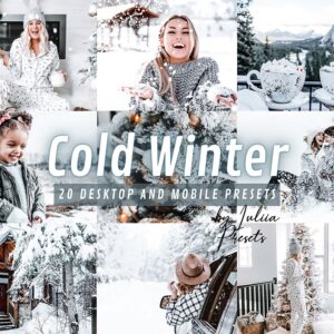Cold Winter_Grid