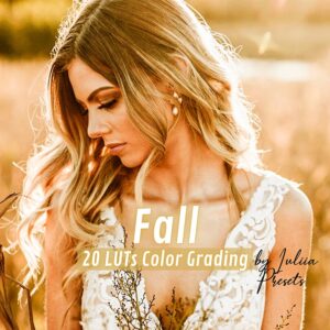 Fall_LUTs
