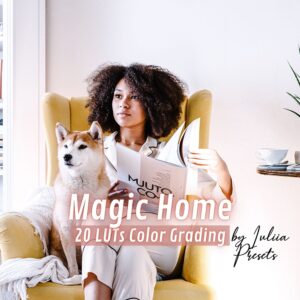 Magic Home_LUTs