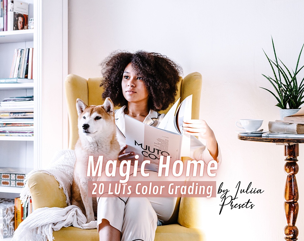 Magic Home_LUTs