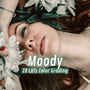 Moody_LUTs-1.png