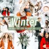 WINTER Lightroom Presets