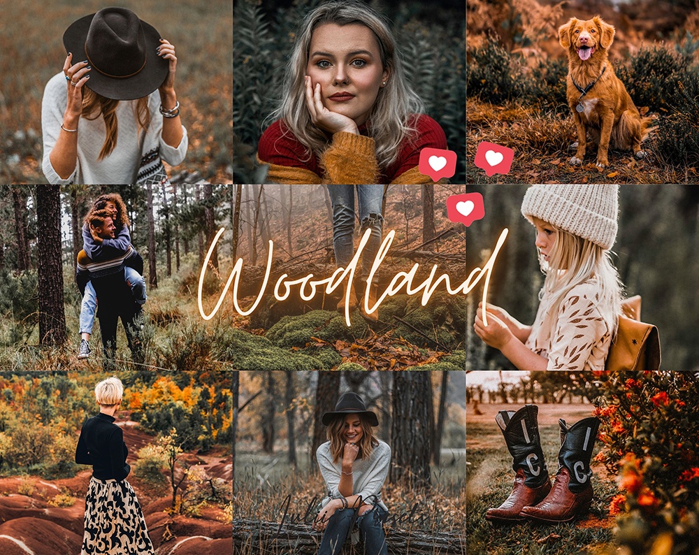 Woodland_Grid