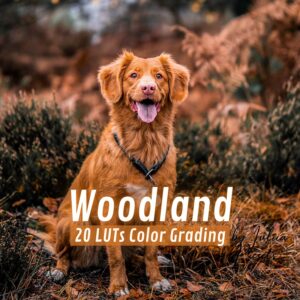 Woodland_LUTs
