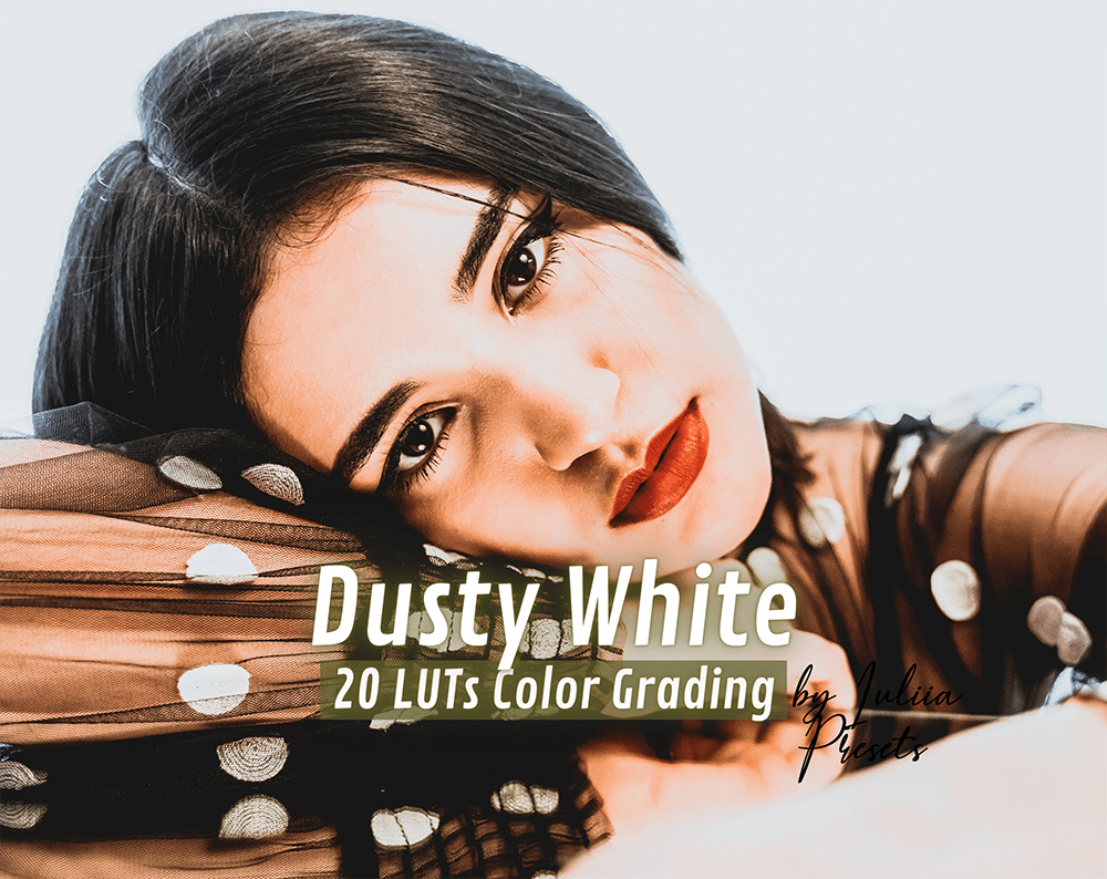 Dusty White_LUTs 2