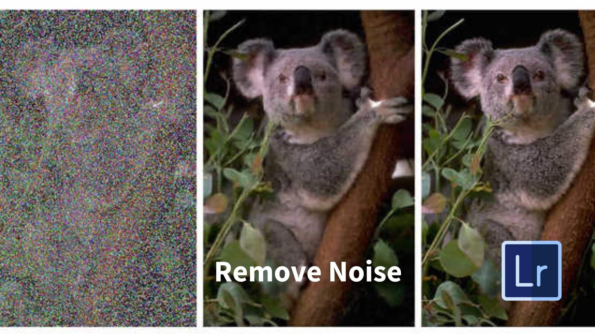 How to Remove Noise in Lightroom
