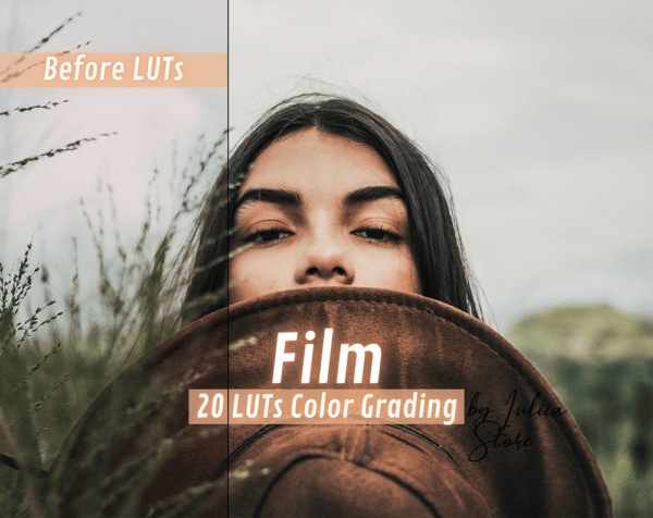 FILM LUTs