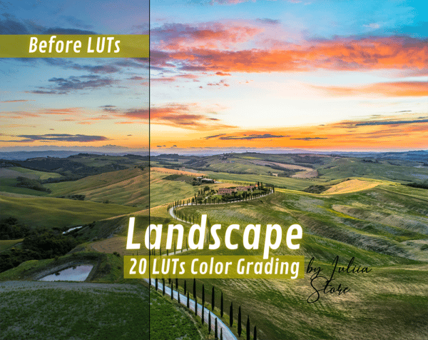 LANDSCAPE LUTs