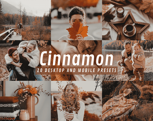 CINNAMON Lightroom Presets