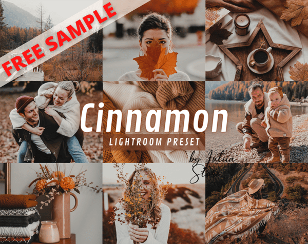 Free Lightroom Preset CINNAMON