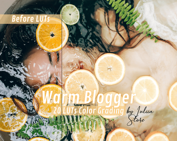 WARM BLOGGER LUTs