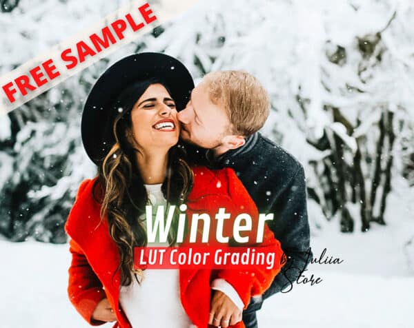 Free LUT WINTER