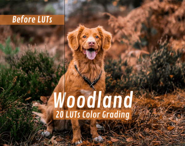 WOODLAND LUTs