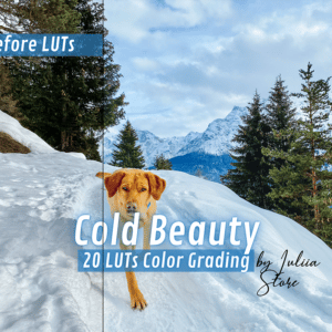 COLD BEAUTY LUTs
