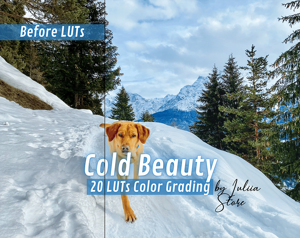 COLD BEAUTY LUTs