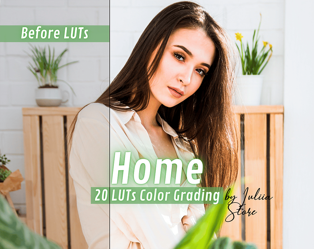 HOME LUTs