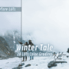 WINTER TALE LUTs