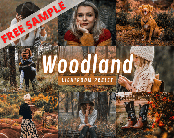 Free Lightroom Preset WOODLAND